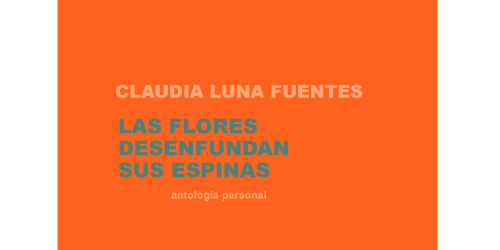 Libro: Las flores desenfundan sus espinas