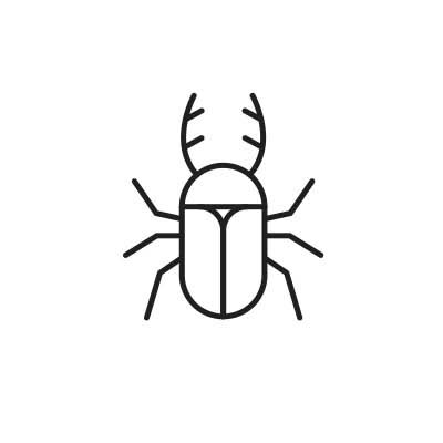 escarabajo