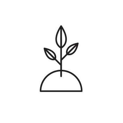 planta
